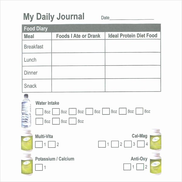 Daily Journal Template Word Awesome 16 Sample Daily Log Templates Pdf Doc