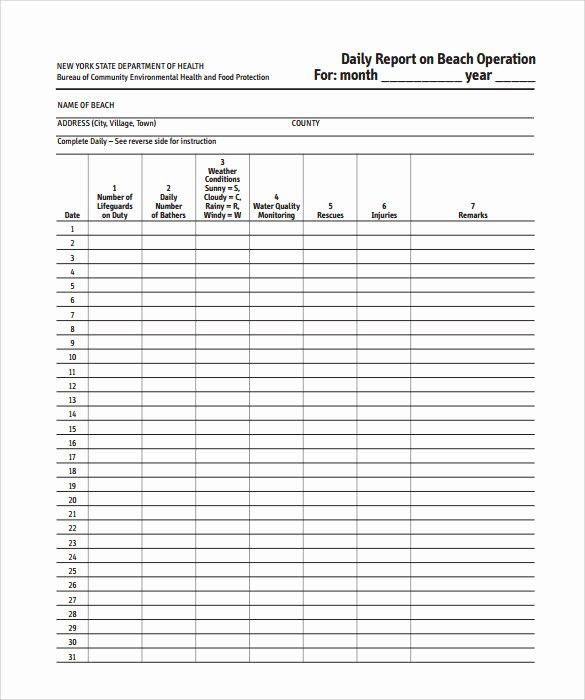 Daily Work Report Template Fresh 17 Sample Daily Reports