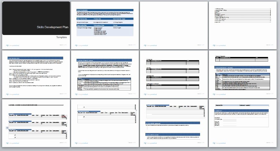 Design and Development Plan Template Beautiful Skills Development Plan Change Management Methodology