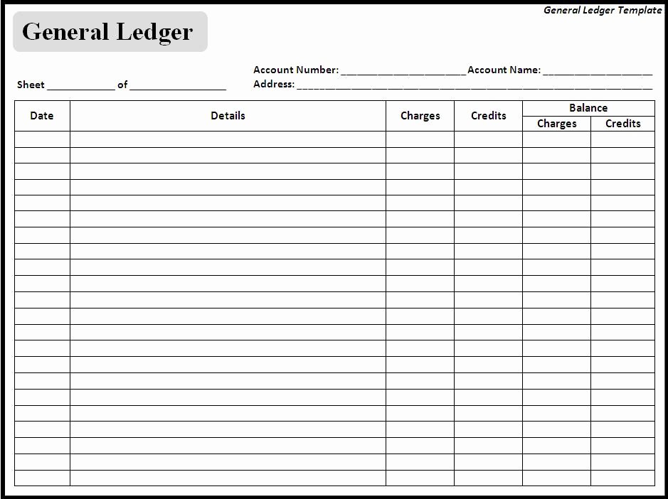 Diary Entry Template Word Elegant Blank General Ledger