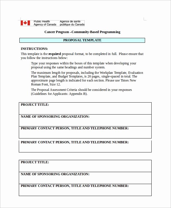 Documentary Proposal Sample Lovely 7 It Proposal Templates