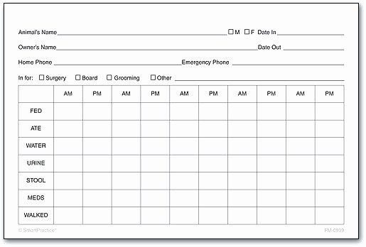 Dog Boarding Report Card Template Beautiful Cage Cards