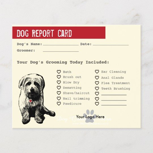 Dog Boarding Report Card Template Beautiful Motorcycle Flyers