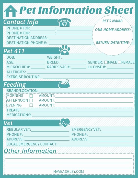 Dog Boarding Report Card Template Beautiful Scottie – Vaccinations &amp; Protocols