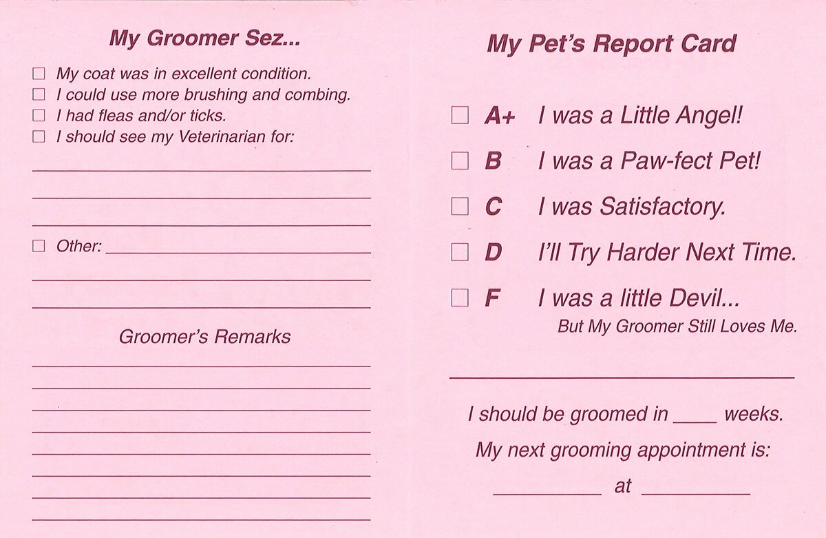 Dog Boarding Report Card Template Best Of Pet Report Cards – Barkleigh Store