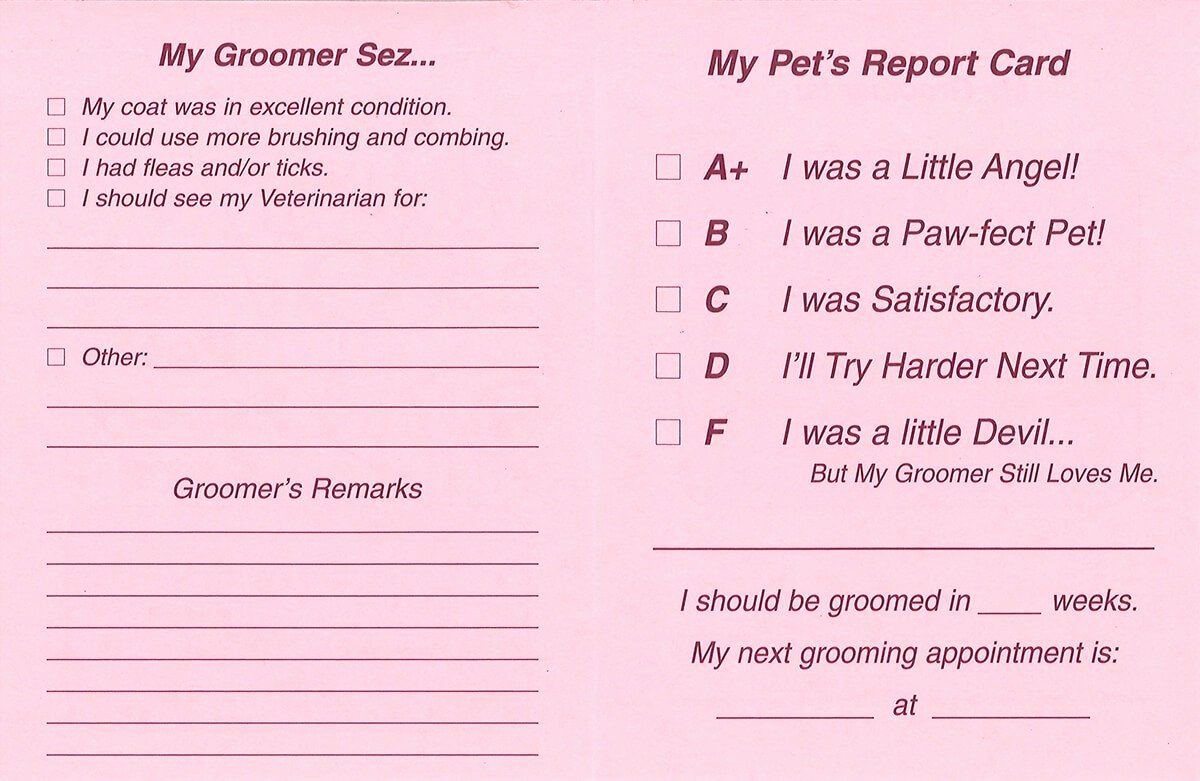 Dog Boarding Report Card Template Best Of Pet Report Cards – Barkleigh Store