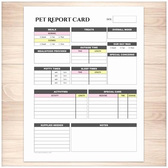 Dog Boarding Report Card Template Elegant Pet Report Card Daily Care Sheet Pink &amp; Yellow