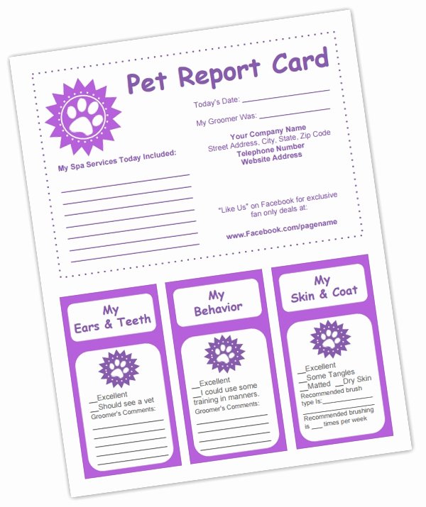 Dog Boarding Report Card Template Lovely 13 Of Cat Sitting Report Card Template