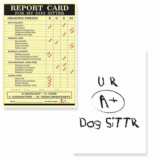Dog Boarding Report Card Template Lovely Dog Sitter Report Card