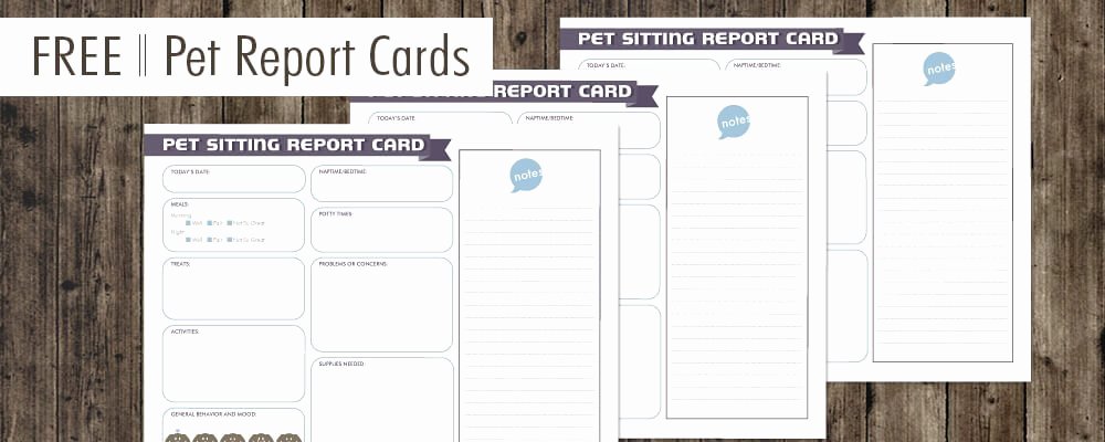 Dog Boarding Report Card Template Luxury Free Pet Report Card Design