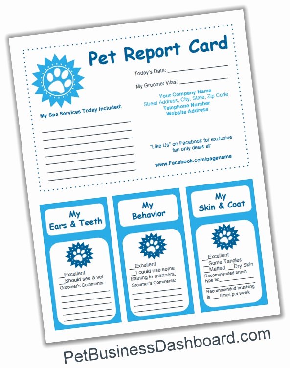 Dog Boarding Report Card Template Unique Dog Grooming Business Templates