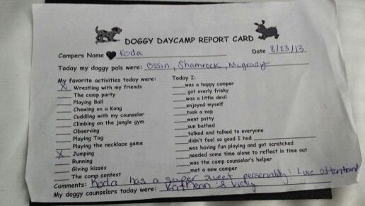 Dog Daycare Report Card Awesome Report Card From Best Friends Doggy Daycare Barkworld