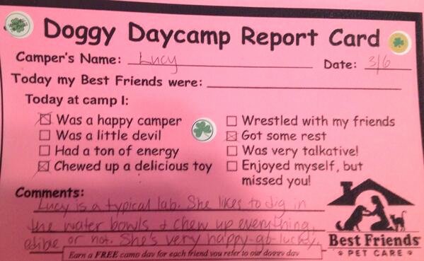 Dog Daycare Report Card Beautiful Jamie Primeau On Twitter &quot;lol Lucy Goes to A New Doggie