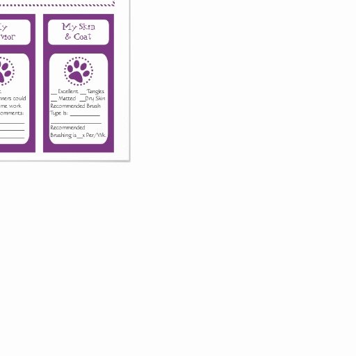 Dog Daycare Report Card Beautiful Pet Report Cards Personalized Flyer