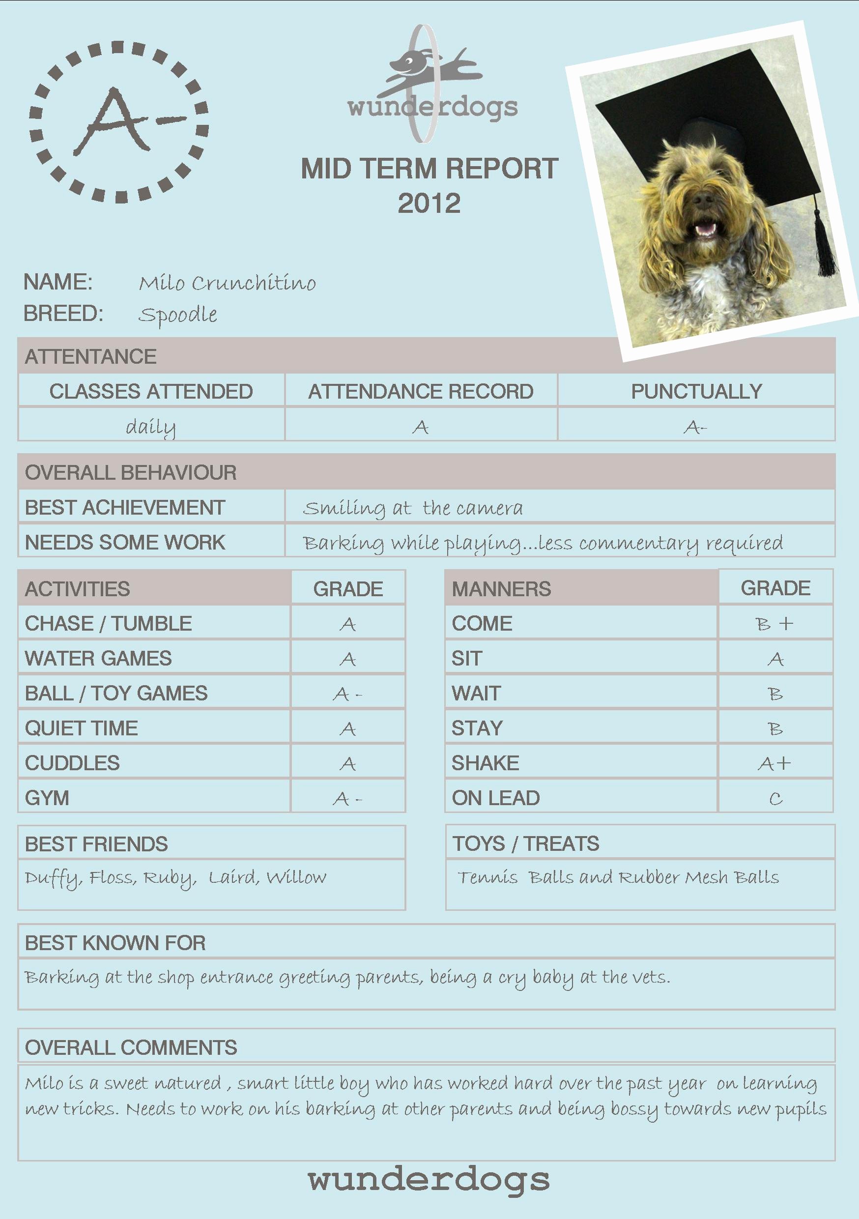 Dog Daycare Report Card Elegant 21 Of Doggy Daycare Report Card Template