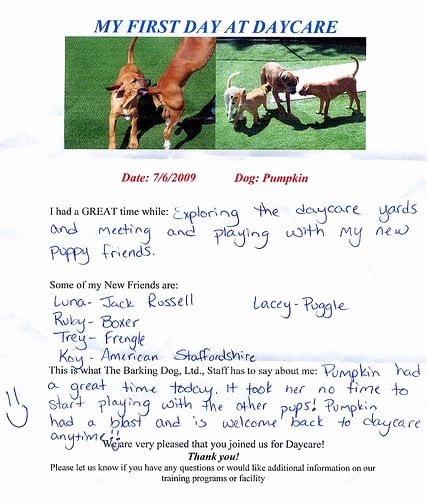 Dog Daycare Report Card Inspirational Report Card for the First Day Of Doggie Daycare Yelp