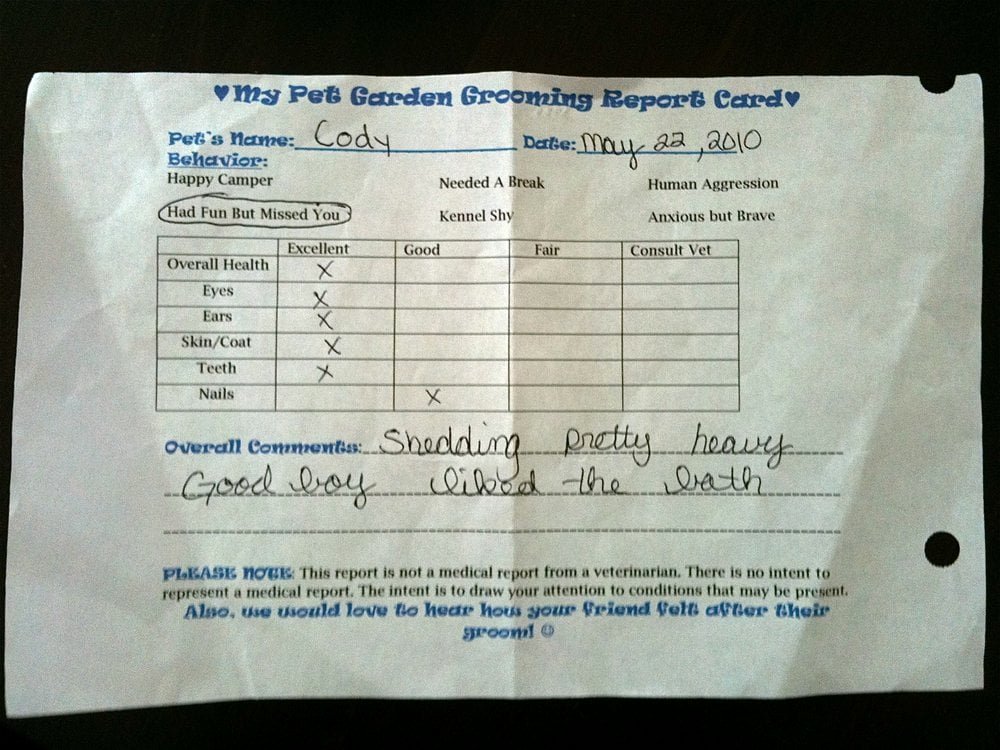 Dog Daycare Report Card Lovely My Dog S Grooming Report Card Yelp