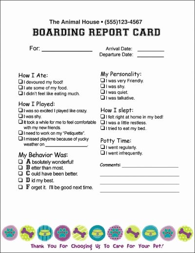 Dog Daycare Report Card Luxury 13 Of Cat Sitting Report Card Template