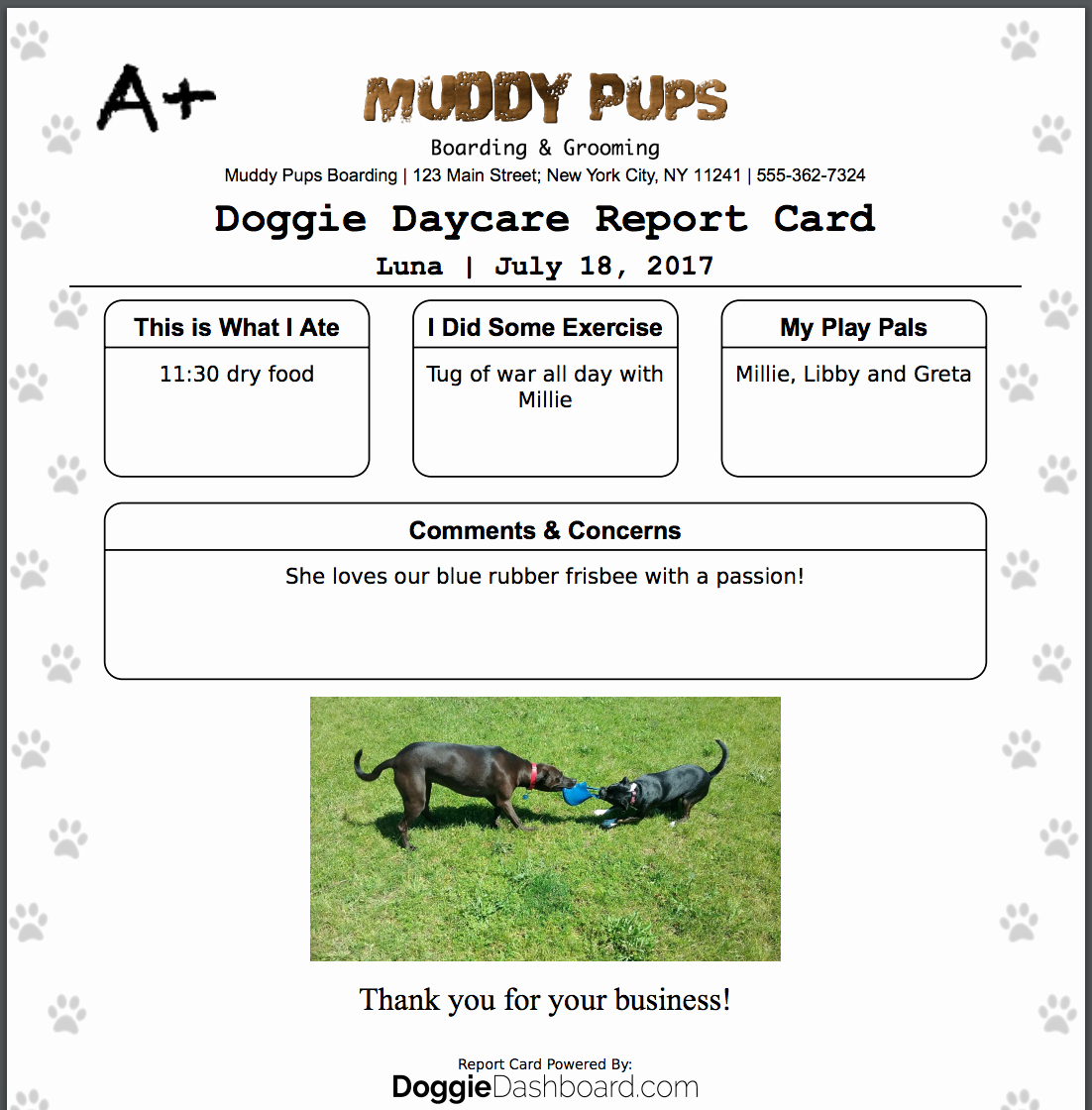 Dog Daycare Report Card Luxury Doggiedashboard