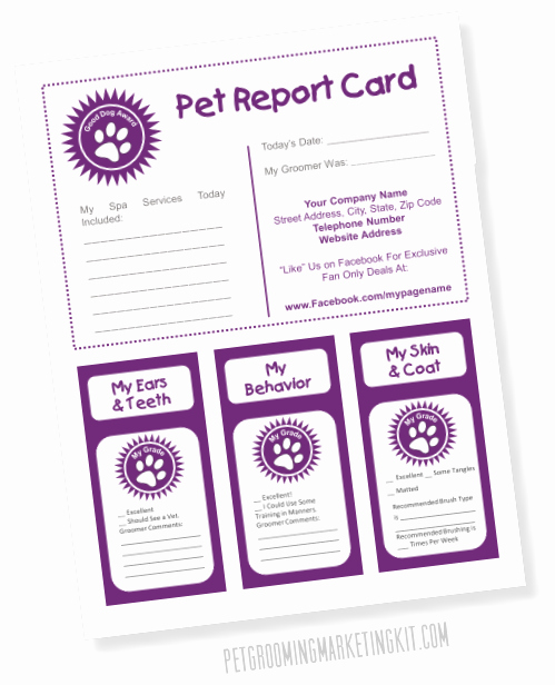 Dog Daycare Report Card Luxury Pet Report Card Templates for Dog Groomers Dog Grooming