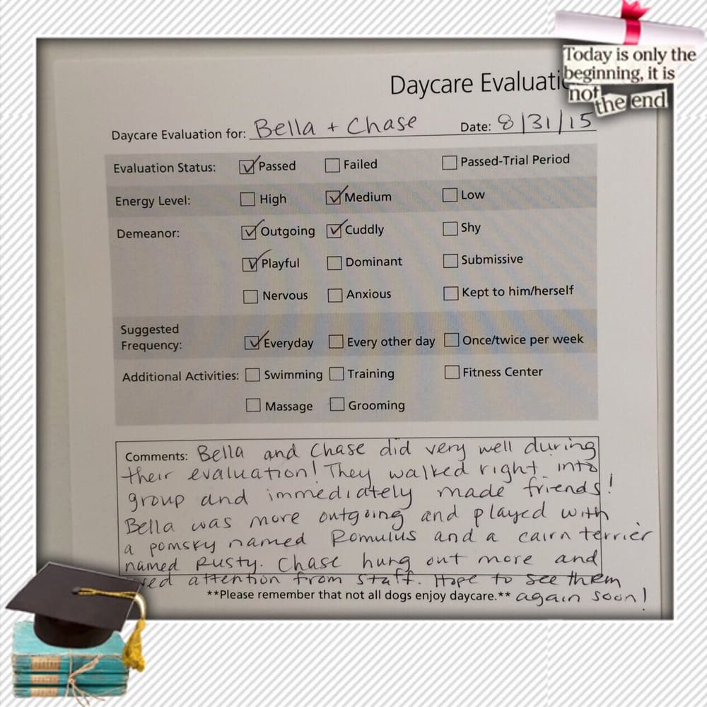 Dog Daycare Report Card Unique the Cute Report Card Our Pups Got after their Daycare