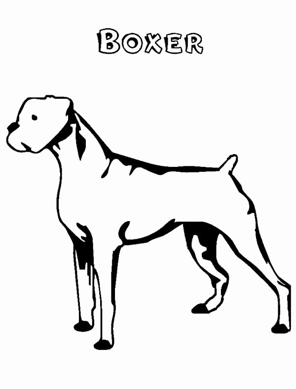 Dog Face Template Awesome Boxer Dog Face Coloring Pages