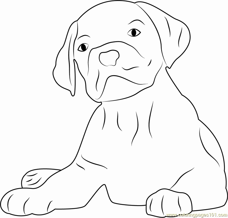 Dog Face Template Elegant Dog Face Coloring Pages Coloring Pages
