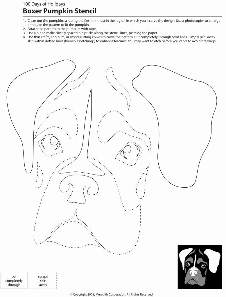 Dog Face Template Lovely Downloadable Dog Breed Pumpkin Stencils