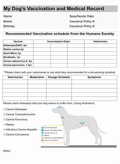Dog Health Record Template Beautiful Dog Vaccination Record