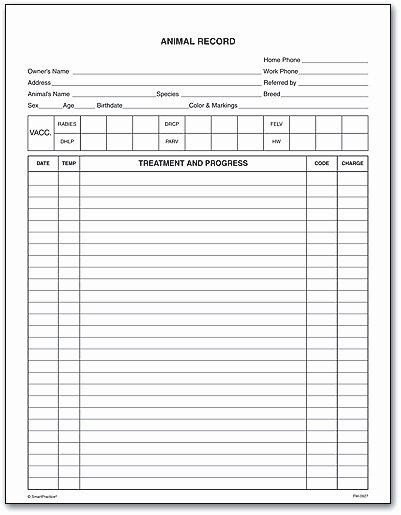 Dog Health Record Template Beautiful Exam forms