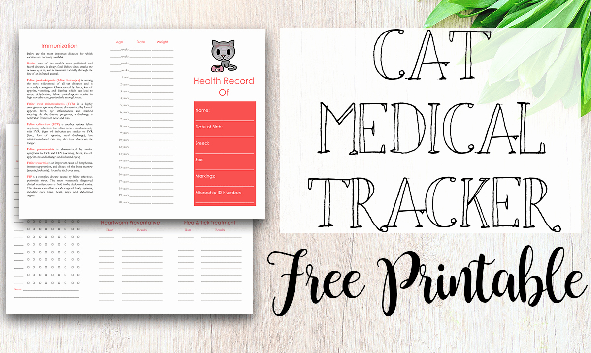 Dog Health Record Template Beautiful Free Printable Medical Record for Dogs Tastefully Eclectic