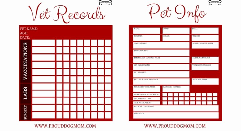 Dog Health Record Template Best Of Free Download Printable Vet Records Keeper