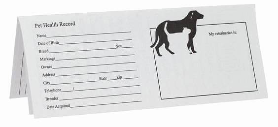 Dog Health Record Template Elegant Printable Puppy Shot Records