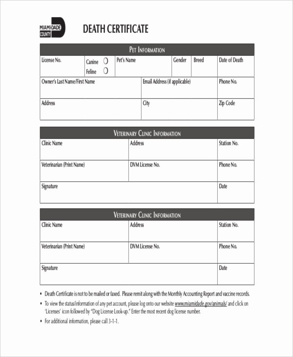 Dog Health Record Template Unique 24 Of Veterinary Note Template