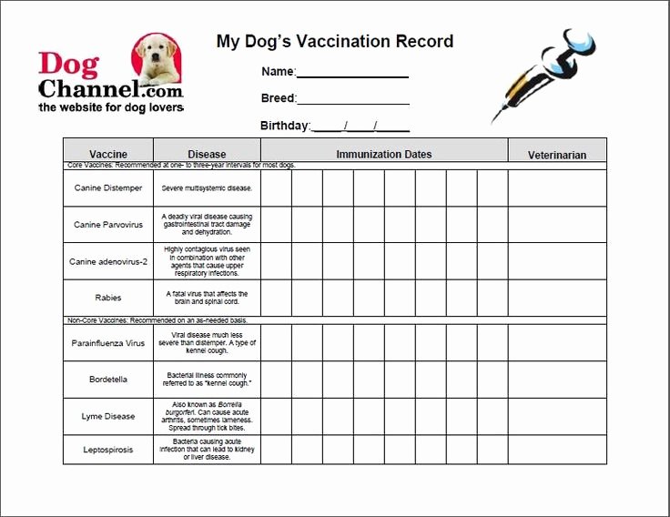 Dog Health Record Template Unique Dog Vaccination Record form Dog 2 Pinterest