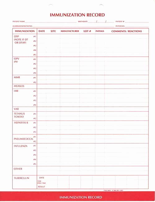 Dog Shot Record Template Awesome 10 Best S Of Blank Cat Immunization Records Printable