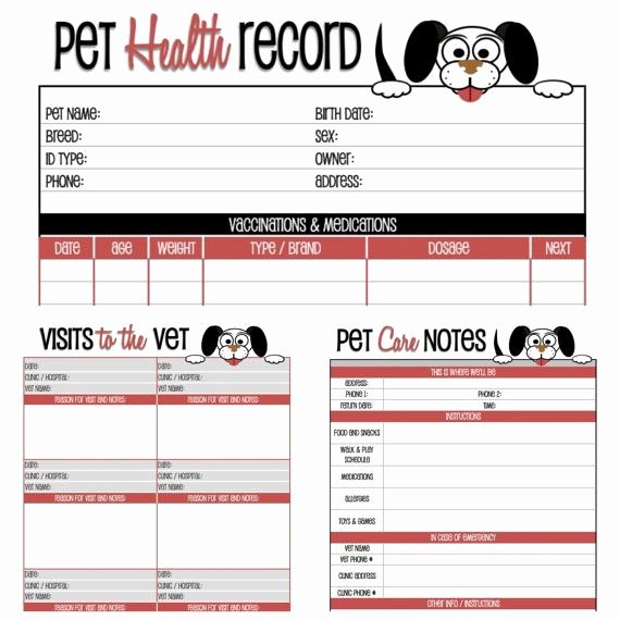 Dog Shot Record Template Awesome Dog Health Record Printable for the Pup