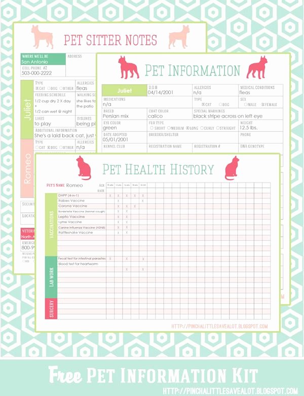 Dog Shot Record Template Fresh Free Pet Printables to Keep Track Of Vaccinations
