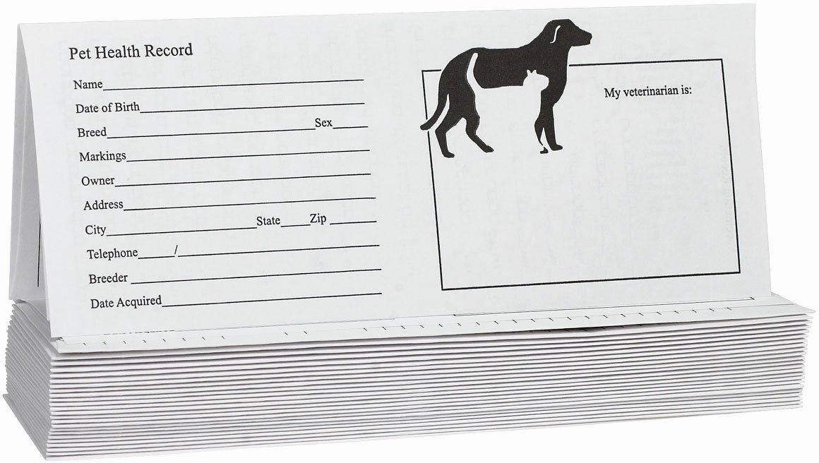 Dog Shot Record Template Fresh Pet Records for Dog and Cats Instruments