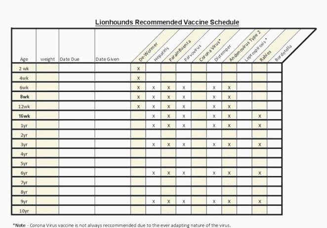 Dog Shot Record Template Fresh Unfor Table Printable Immunization Records