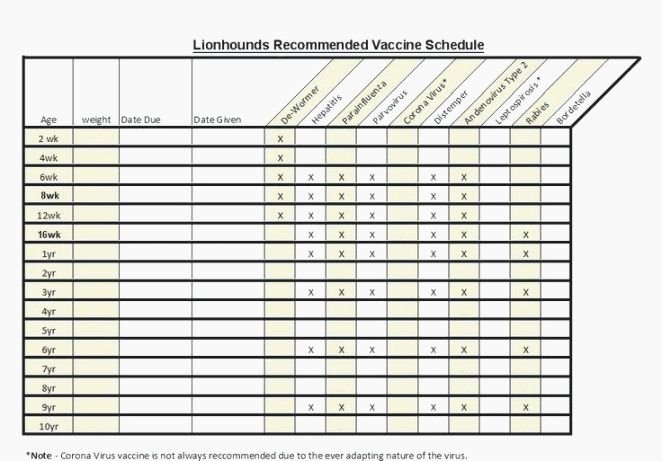 Dog Shot Record Template Fresh Unfor Table Printable Immunization Records