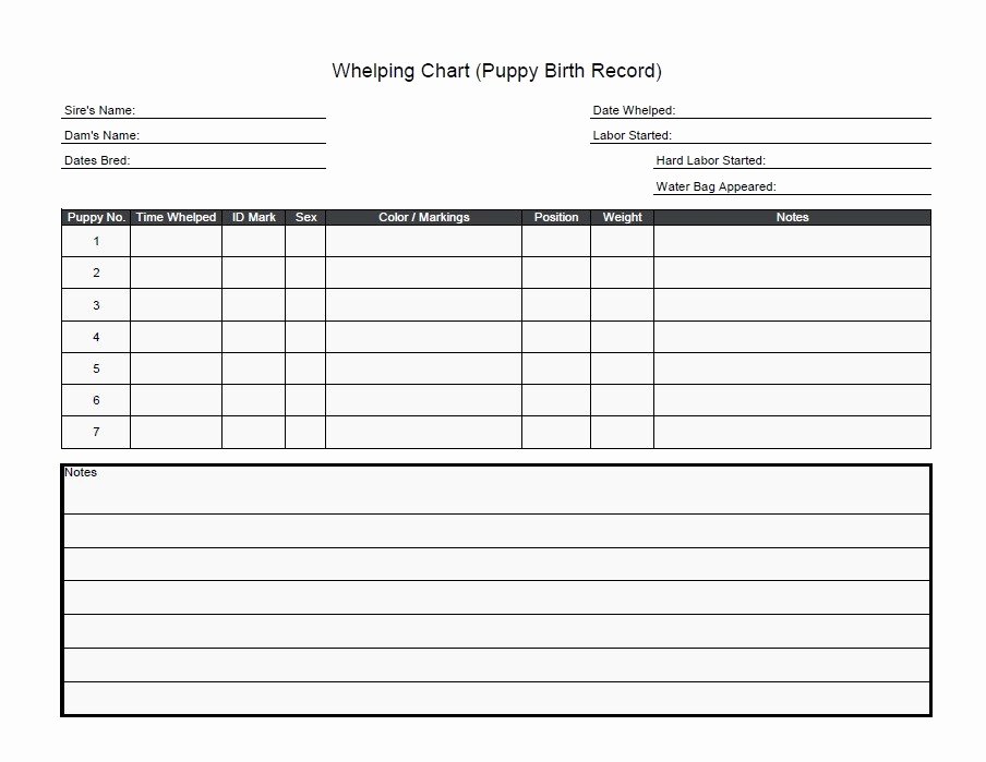 Dog Shot Record Template Inspirational 9 Best S Of Printable Puppy Vaccination Chart Dogs