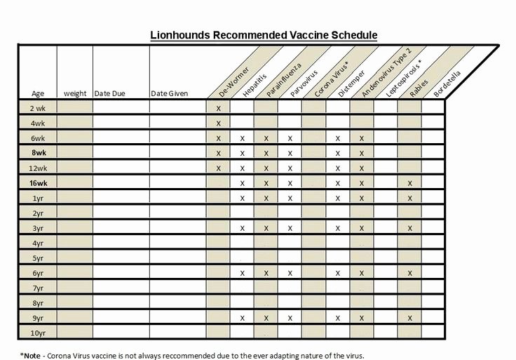 Dog Shot Record Template Luxury 9 Best S Of Printable Puppy Vaccination Chart Dogs