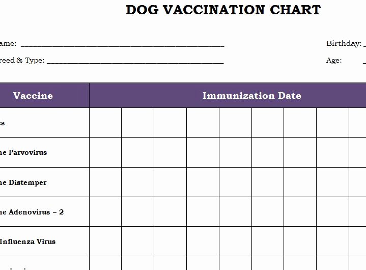 Dog Shot Record Template New Dog Vaccination Chart Template Haven