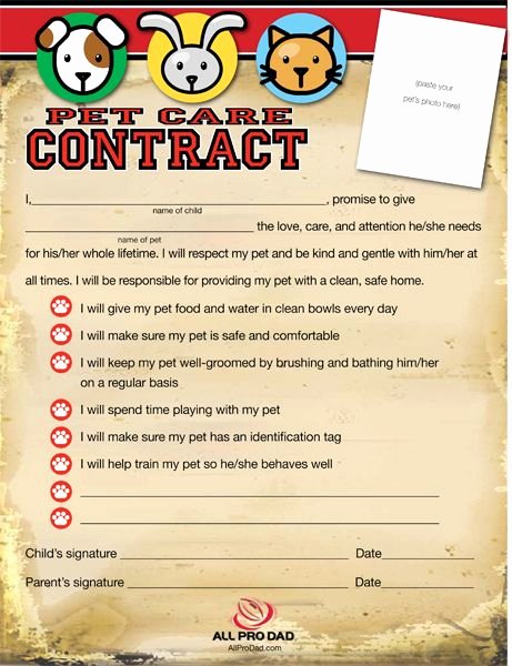 Dog Training Contract Template Beautiful Pet Care Contract and