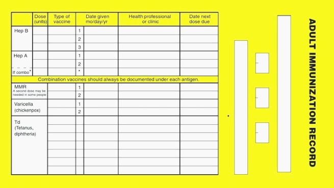 Dog Vaccination Record Template Best Of Best Bright Dog Vaccination Record Printable