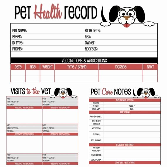 Dog Vaccination Record Template Inspirational Dog Health Record Printable for the Pup