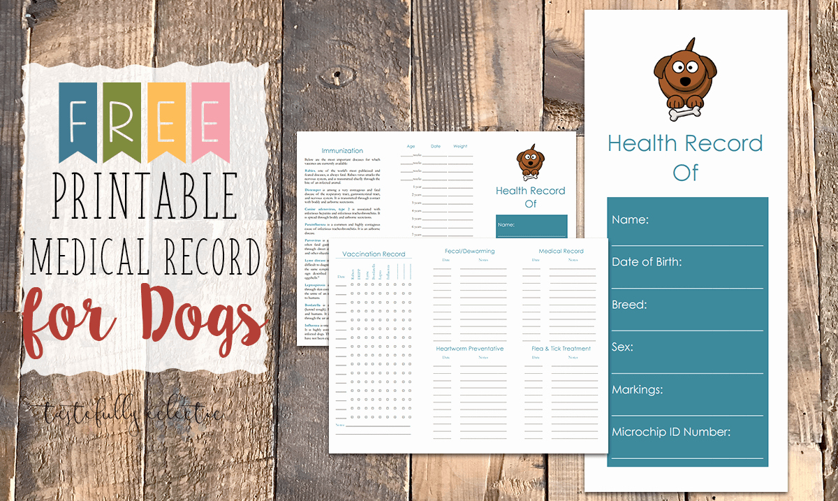 Dog Vaccination Record Template Inspirational Free Printable Medical Record for Dogs Tastefully Eclectic