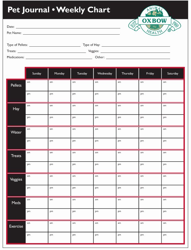 Dog Vaccination Record Template New 9 Best S Of Printable Puppy Vaccination Chart Dogs