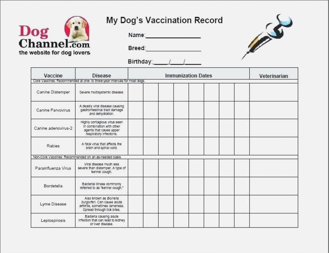 Dog Vaccination Record Template Unique 13 14 Pet Health Record Template